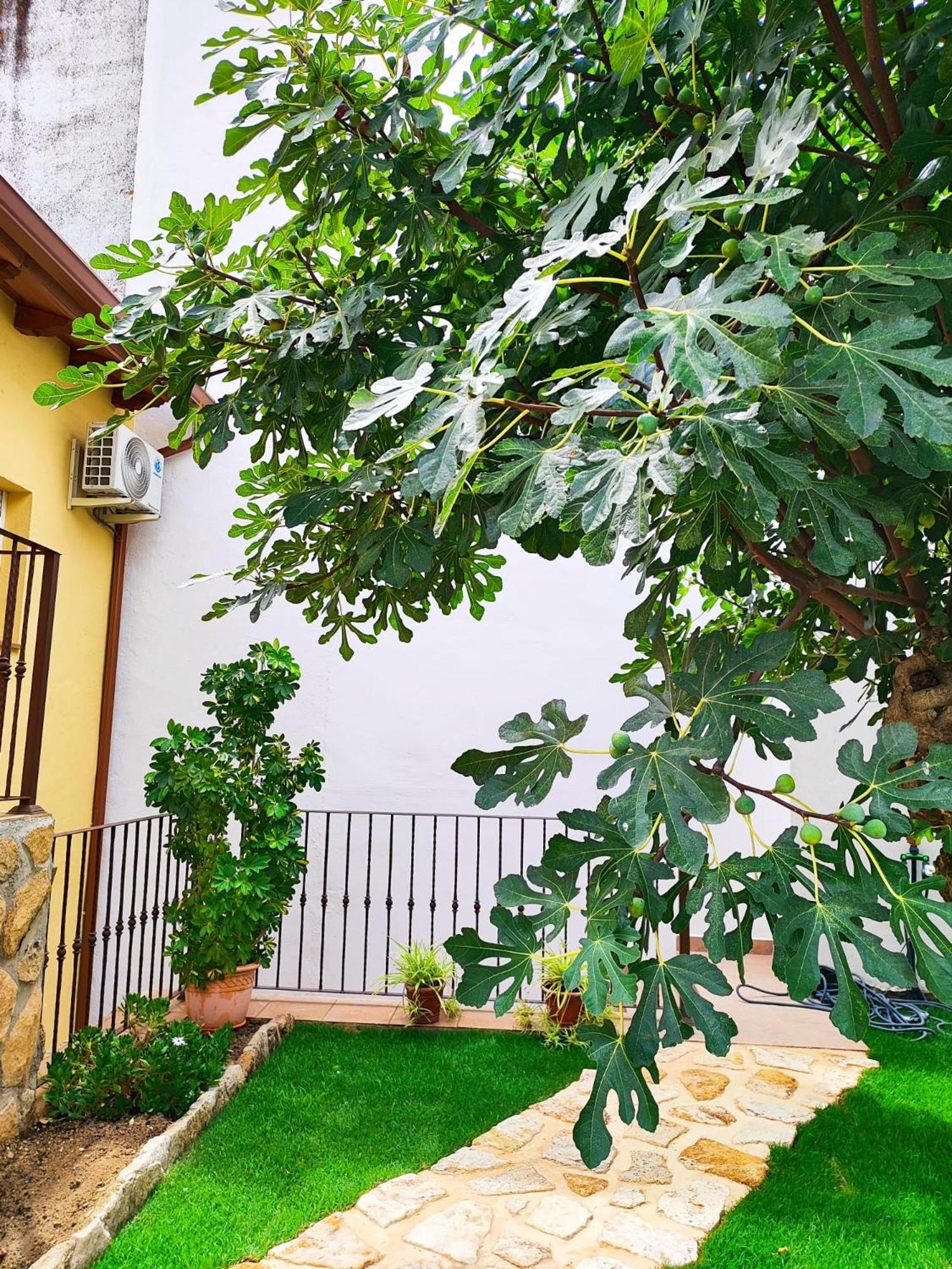 La Casita De Ra Villa Castillo de Bayuela Exterior photo